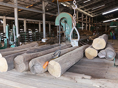 德福林基地風采